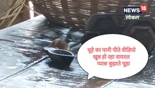 OMG! गर्मी में ऐसे प्यास बुझाते हैं चूहे, किराना दुकान में पहुंचे चूहों ने पानी पिया और चलते बने, देखें Video