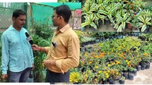 East champaran : गार्डनिंग का कर रहे हों प्लान, तो इनसे करें संपर्क, मुफ्त में बना देंगे परफेक्ट डिजाइन