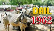 Shivpuri News: बीमार पशुओं के इलाज के लिए नहीं पड़ेगा भटकना, सिर्फ यह नंबर करना होगा डायल