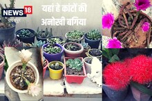 फूल नहीं कांटों से सजाया है इस शख्स ने अपना घर, जानें कौन है उदयपुर के कैक्टस मैन