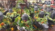 महामृत्युंजय धाम की महिमा है अपार, दूर-दूर से श्रद्धालु दर्शन के लिए आते हैं