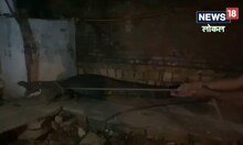 Wildlife Video: आधी रात घर में दिखा 12 फीट का मगरमच्छ, लोगों की उड़ गई नींद