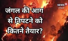 Uttarakhand News: साल में वनाग्नि की 331 घटनाएं आई सामने, 405 हेक्टेयर जंगल हुआ प्रभावित, जानिए कितना तैयार है वन विभाग?