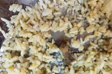 Food Poisoning : मिड-डे-मील में मिली मरी हुई छिपकली, भोजन करते ही 50 बच्चे हुए बीमार