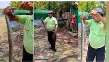 OMG!अजगर समझ खींच रहे थे फोटो, असलियत पता चली तो उड़ गए सबके होश, देखें वीडियो
