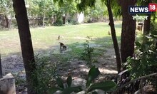 कोटा में गर्मी से लोग बेहाल, तापमान पहुंचा 45 डिग्री, बजारों में पसरा सन्नाटा