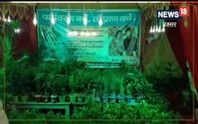 बक्सर में इस अनोखी शादी की हो रही सराहना, औषधीय पौधों के साथ हुआ बारातियों का स्वागत