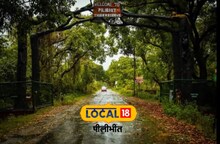 जंगल छोड़ आबादी में एक्टिव हो रहे तेंदुए, खेत में आराम फरमाने का वीडियो वायरल