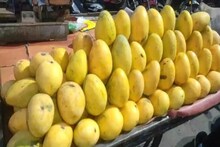 अलवर के बाजार में सफेदा आम की बहार, रोजाना आ रहे 120 टन से ज्यादा, जानें क्या है कीमत
