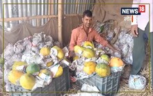Madhepura News : कभी ठेले पर फल बेचकर करते थे गुजारा, अब पपीते का व्यापार कर लोगों को दे रहे रोजगार