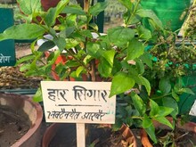 Dharma Aastha: अमृत मंथन के समय निकले थे 14 रत्न, इनमें से 2 रत्न यहां मौजूद