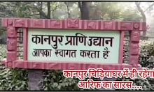 Arif Saras News: अब कानपुर चिड़ियाघर में ही रहेगा आरिफ का सारस, जानिए पीछे की बड़ी वजह