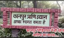 अब कानपुर चिड़ियाघर में ही रहेगा आरिफ का सारस, जानिए पीछे की बड़ी वजह