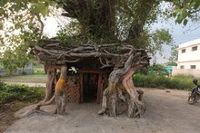 OMG! पीपल का यह पेड़ बन गया मां सिद्धिदात्री का मंदिर, मां की कृपा से पूरे होते हैं मनोरथ सारे