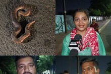 Video: इंदौर की सड़क पर घायल पड़ा था दुर्लभ प्रजाति का सांप, 'देवदूत' बन लड़की ने बचाई जान