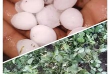 Sagar News: गरज चमक और तेज हवा के साथ हुई बारिश, कहीं आकाशीय बिजली का कहर