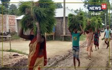धान की लगाने जा रहे हैं नर्सरी तो कर लें यह छोटा सा काम, बंपर होगी पैदावार, कृषि विशेषज्ञ दे रहे सलाह