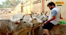 बेजुबानों के लिए फरिश्ता बने पीलीभीत के युवक को सलाम, 200 से अधिक जानवरों का कर चुके है रेस्क्यू