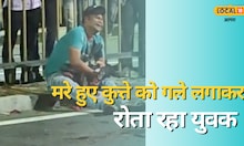 Viral Video: बीच हाईवे पर बैठ कर रोता रहा गाेलू, सामने थी पालतू कुत्ते की लाश
