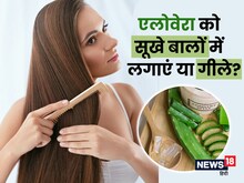 एलोवेरा को गीले बालों में लगाएं या सूखे, ऐसे मिलता है ज्यादाा फायदा