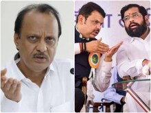 'एमवीए में शामिल पार्टी अपने दम पर लोकसभा और विधानसभा का चुनाव नहीं लड़ सकती'