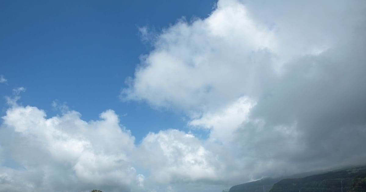 Home 24 Bhandardara