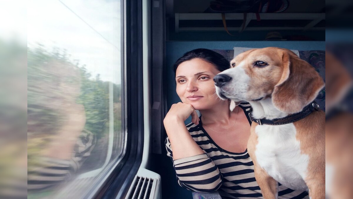 कुत्ते-बिल्ली भी रेल में अब कर सकेंगे आसानी से सफर, IRCTC शुरू करने जा रही यह सुविधा