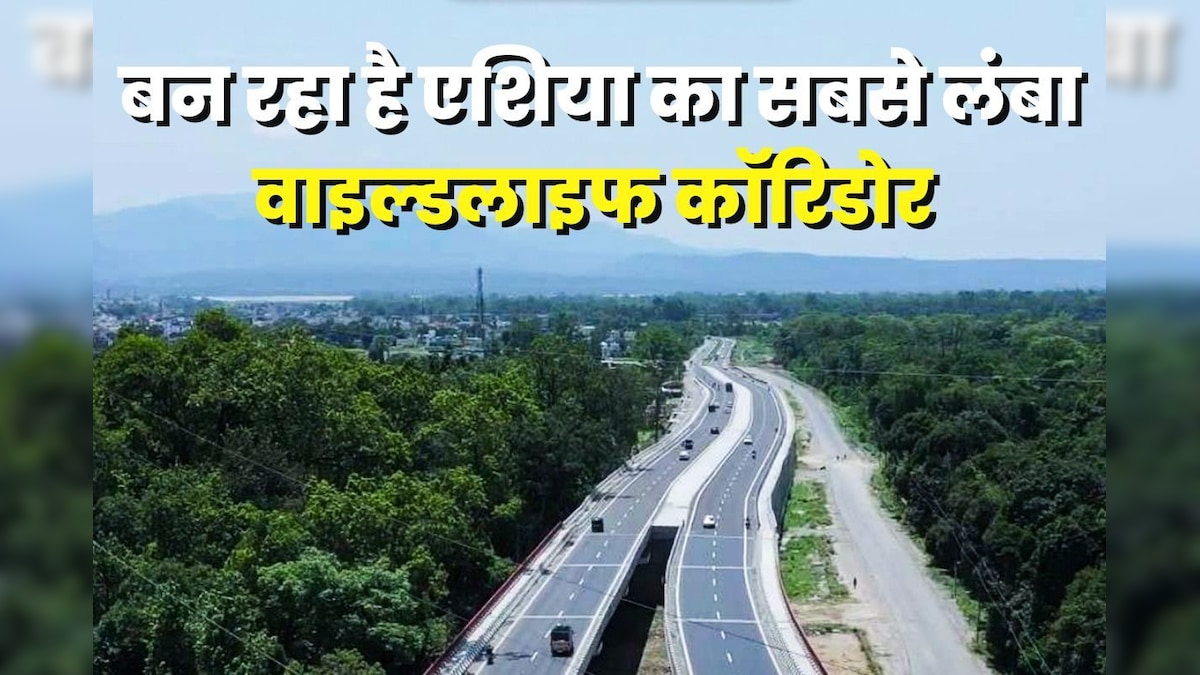 Delhi-Dehradun Expressway: बन रहा है एशिया का सबसे लंबा वाइल्ड लाइफ कॉरिडोर, ऊपर से कार तो नीचे से गुजरेंगे गजराज