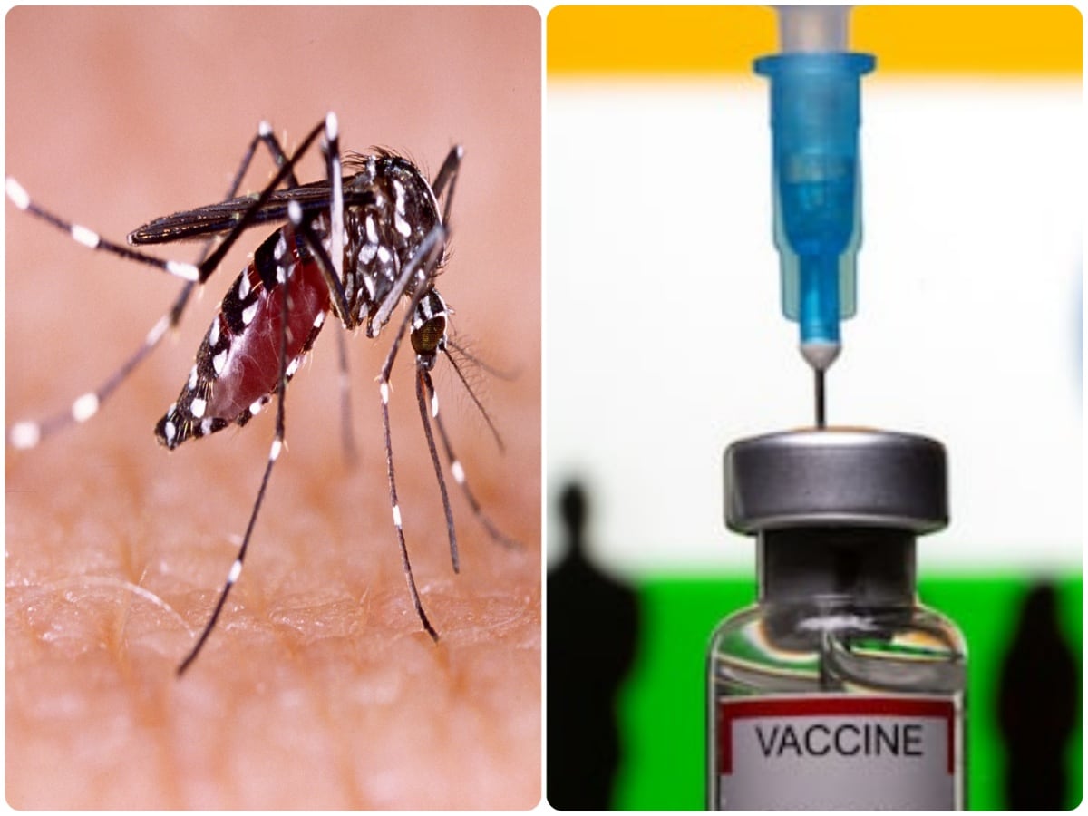 Dengue vaccine: भारत को जल्‍द मिलेगी डेंगू वैक्‍सीन, हर साल दुनियाभर में 40 करोड़ लोग पड़ते हैं बीमार - India will get indigenous dengue vaccine soon as 10 crore people get infected