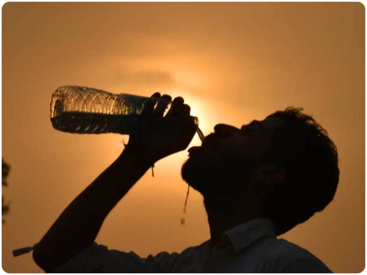 Scorching Heat, Heatwave, upto what temperature can a human live, how does the body keep itself cool, Sweating, Weather News, Weather Update, Heavy Rain, Science Facts, Human Science, Science News, New Study, Research