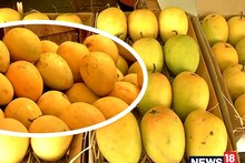 Mango Jatra : यहां बिक रहा है भारत का सबसे महंगा आम, कीमत जेब पर भारी, फिर भी लाखों का कारोबार