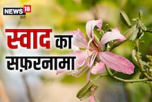 स्वाद का सफ़रनामा: कचनार की कली का अचार खूब किया जाता है पसंद, त्रिदोष नाशक हैं गुण, रोचक है इतिहास