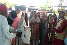 अजब-गजब शादीः ना मंदिर-ना अग्नि, दूल्हा-दुल्हन ने गऊ माता के 7 फेरे लिए, गौशाला में रचाई शादी