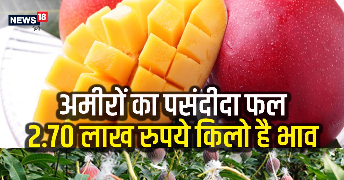 World most expensive mango miyazaki price is rupee 2.70 lakh per kg