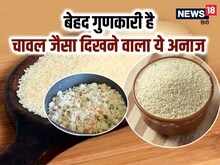 चावल जैसा ये अनाज सेहत के लिए बेहद लाभकारी, पोषक तत्वों की कमी करता है पूरी