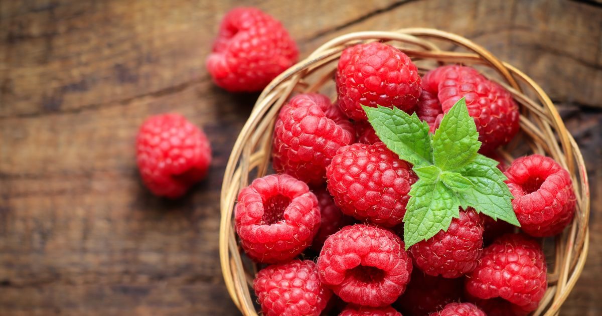 पोषक तत्वों का खजाना है रास्पबेरी, डेली डाइट में करें सेवन, सेहत को
