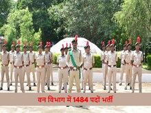 वन विभाग में सरकारी नौकरी पाने का बेहतरीन मौका, 12वीं पास करें आवेदन