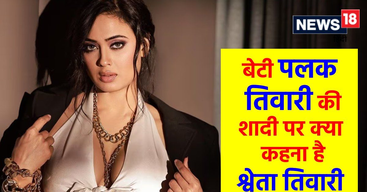 जब श्वेता तिवारी ने कहा था, ‘हां मैंने गलत पति चुना, मुझे तीसरी शादी करनी है या संन्यास लेना है, ये फैसला…’