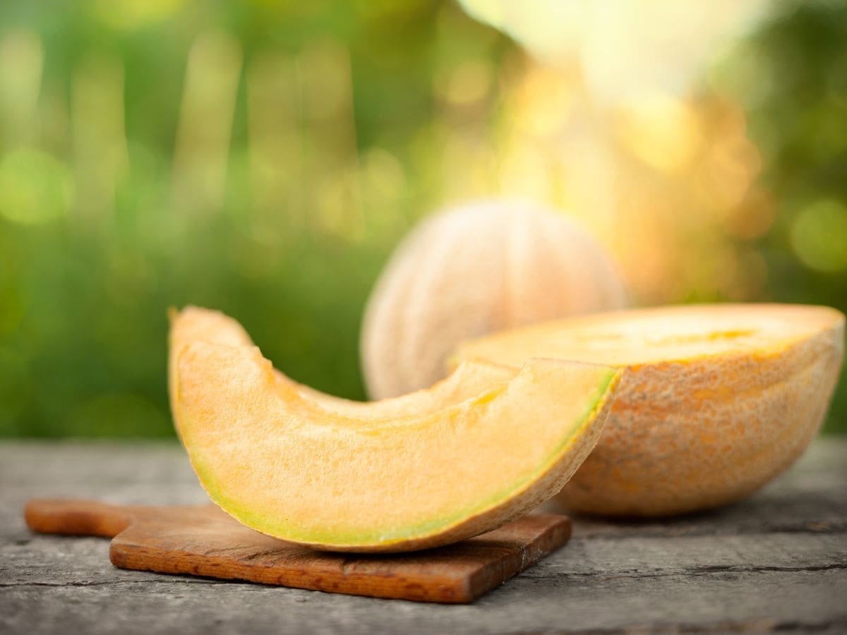 स्वाद का सफ़रनामा स्वाद के साथ गुणों में लाजवाब है सरदा, दिल के लिए है