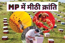 Madhya Pradesh will now have a 'sweet revolution', the government will teach to trade honey