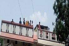 OMG: बाघ को देख 'शेरनी' ने मचाया शोर तो 3 बच्चों की बच सकी जान, दहशत में इलाके के लोग