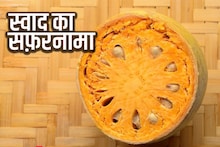 स्वाद का सफ़रनामा: संक्रमण से लड़ने में मददगार है कैथा, एंटी-एजिंग प्रॉपर्टी भी हैं मौजूद, दिलचस्प है इतिहास
