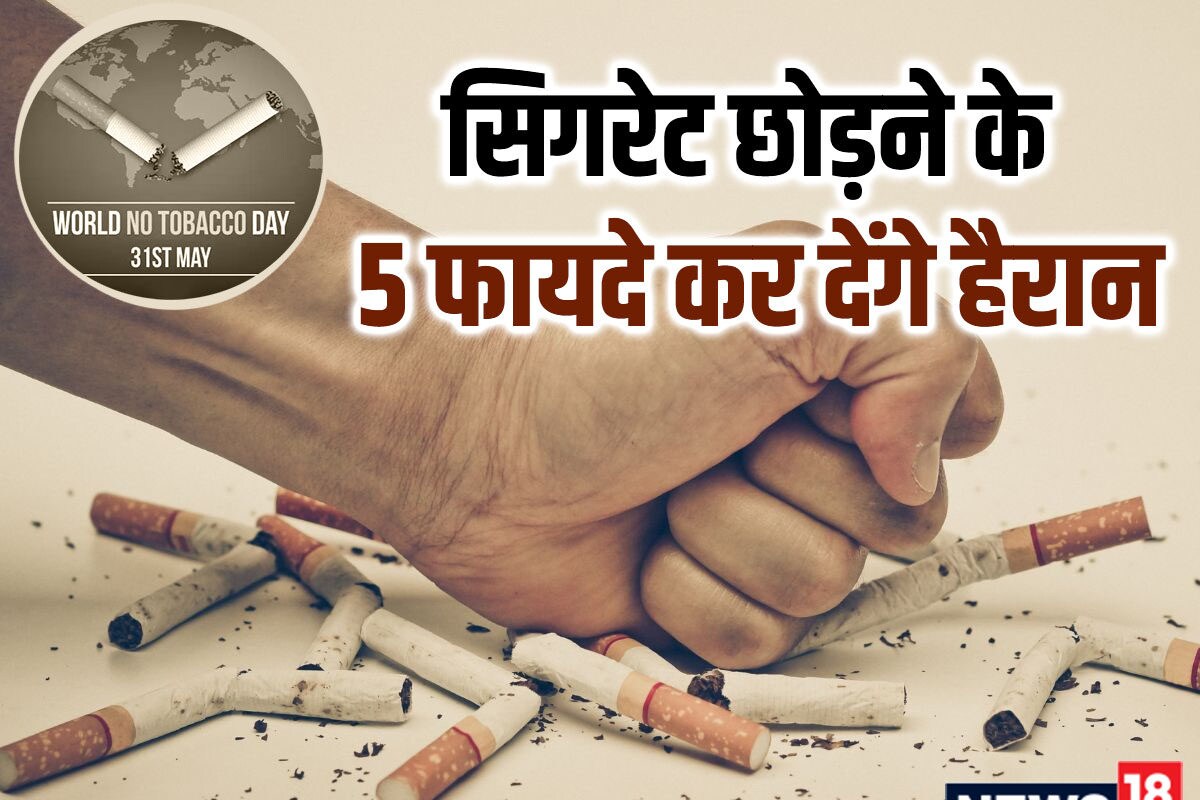 World No-Tobacco Day: अचानक सिगरेट छोड़ देने पर क्या होता है, शरीर में क्या  बदलाव आते हैं? कब दिखते हैं फायदे