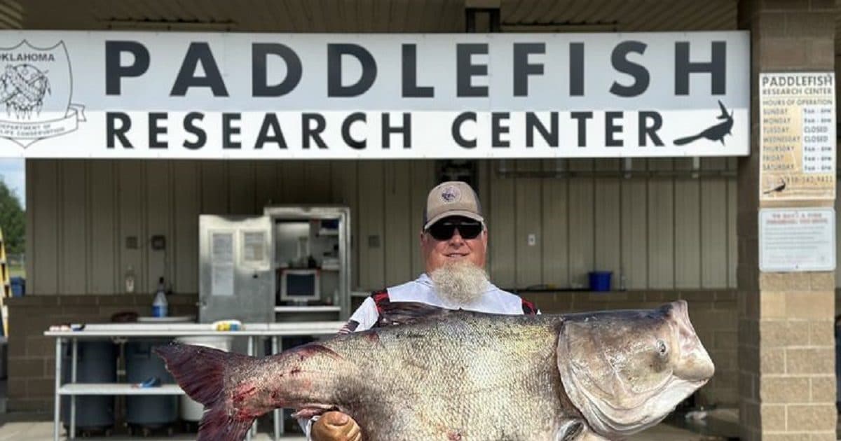 alien fish caught