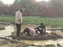 बेटे की चाहता में बुआ-फूफा बने हैवान, 3 साल के बच्चे की बलि देने का आरोप