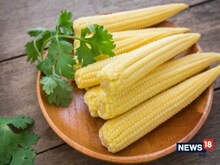 साल में 4-5 बार होती हैं इस फसल की खेती, जितनी लागत उससे दुगुनी होगी कमाई