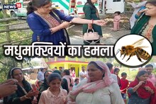 हिमाचलः मधुमक्खियों ने किया हमला, 20 लोग घायल, मुंडन संस्कार में मची अफरा-तफरी
