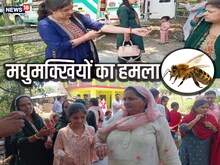 हिमाचलः मधुमक्खियों ने किया हमला, 20 लोग घायल, मुंडन संस्कार में मची अफरा-तफरी