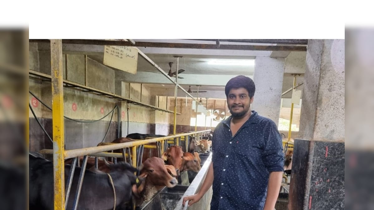 Success Story: दूध नहीं गाय के गोबर ने बनाया करोड़पति, इंजीनियर बना बिजनेसमैन, अब कमा रहा लाखों रुपये
