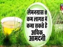 20 हजार में शुरू करें ये बिजनेस, होगी लाखों में कमाई, जानें कैसे?